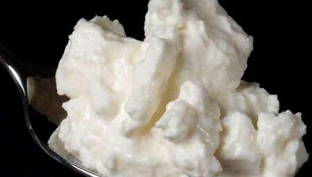 Quark (Homemade Cheese)